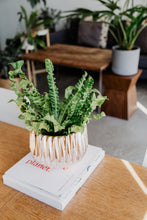 Load image into Gallery viewer, Indoor Plant and Vase